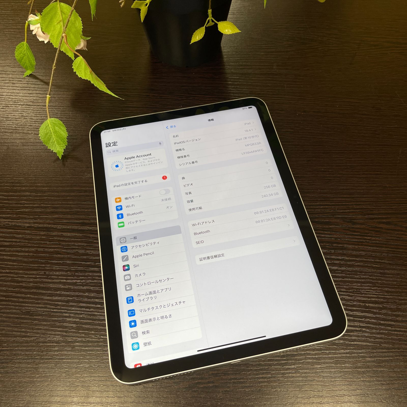 iPad(第10世代) 256GB シルバー Wi-Fiモデル 送料無料 - メルカリ