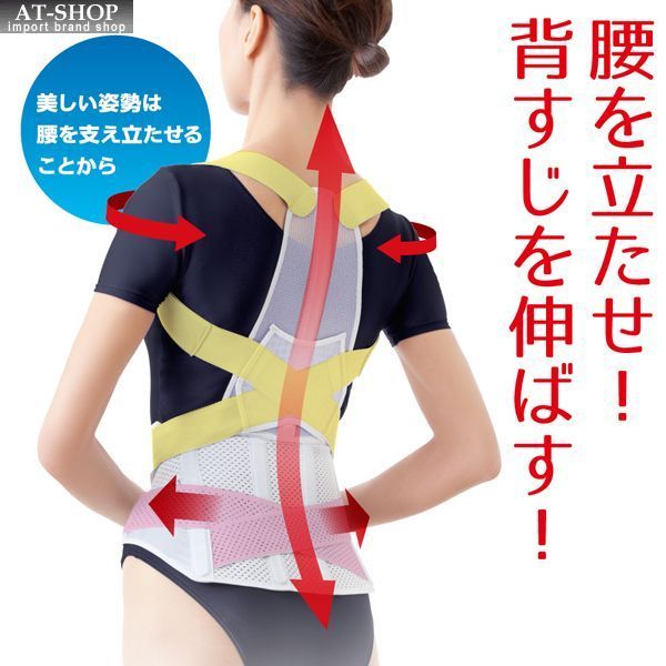 背筋用サポーター お医者さんの腰から正す姿勢ベルト 背筋矯正 背骨 骨盤 腰痛 姿勢矯正 健康グッズ ランキング上位