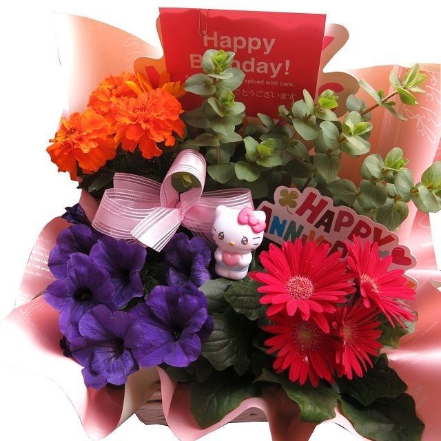【キティ好きなお母さんへ】母の日 サンリオ 鉢植え キティ入りギフト 季節のお花お任せギフト♪ キティカラーはおまかせ 母の日 花鉢 プレゼント
