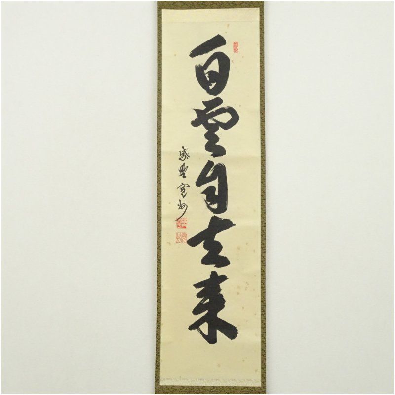 大徳寺 長谷川寛州筆 白雲自去来 一行書 肉筆紙本掛軸 共箱 掛け軸 床の間 書 おしゃれ 絵画 表具 芸術 茶道 年中掛け インテリア 茶掛 掛物 和室 8月 12月 7月 夏冬