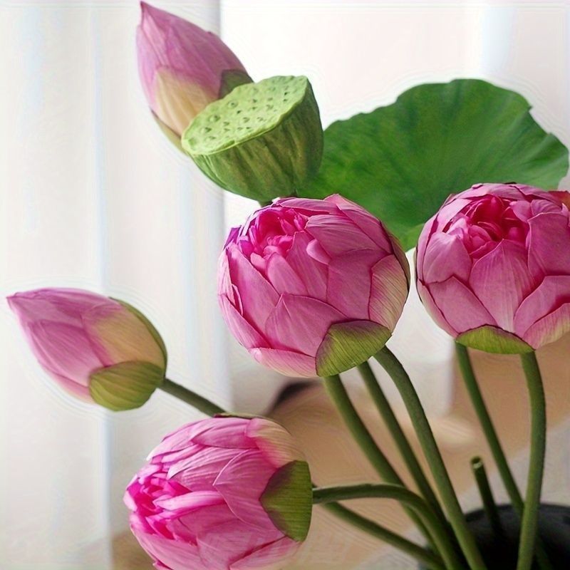 ホームデコレーション