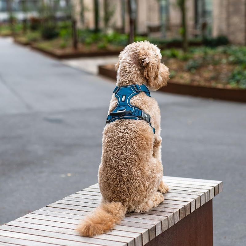 コンフォートウォークプロ