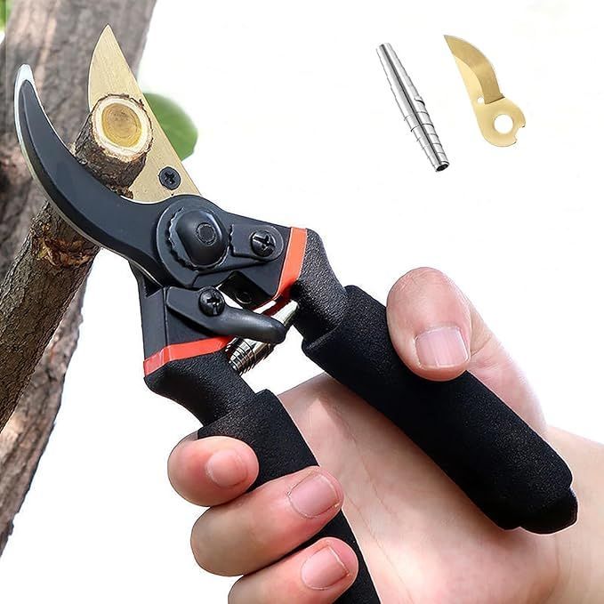 オールドボトル ブラントン 7-31-91 (3008)