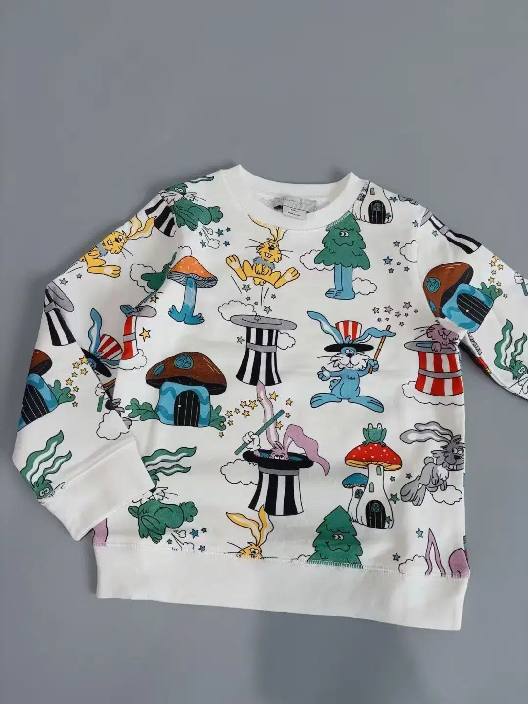 セット 春新商品