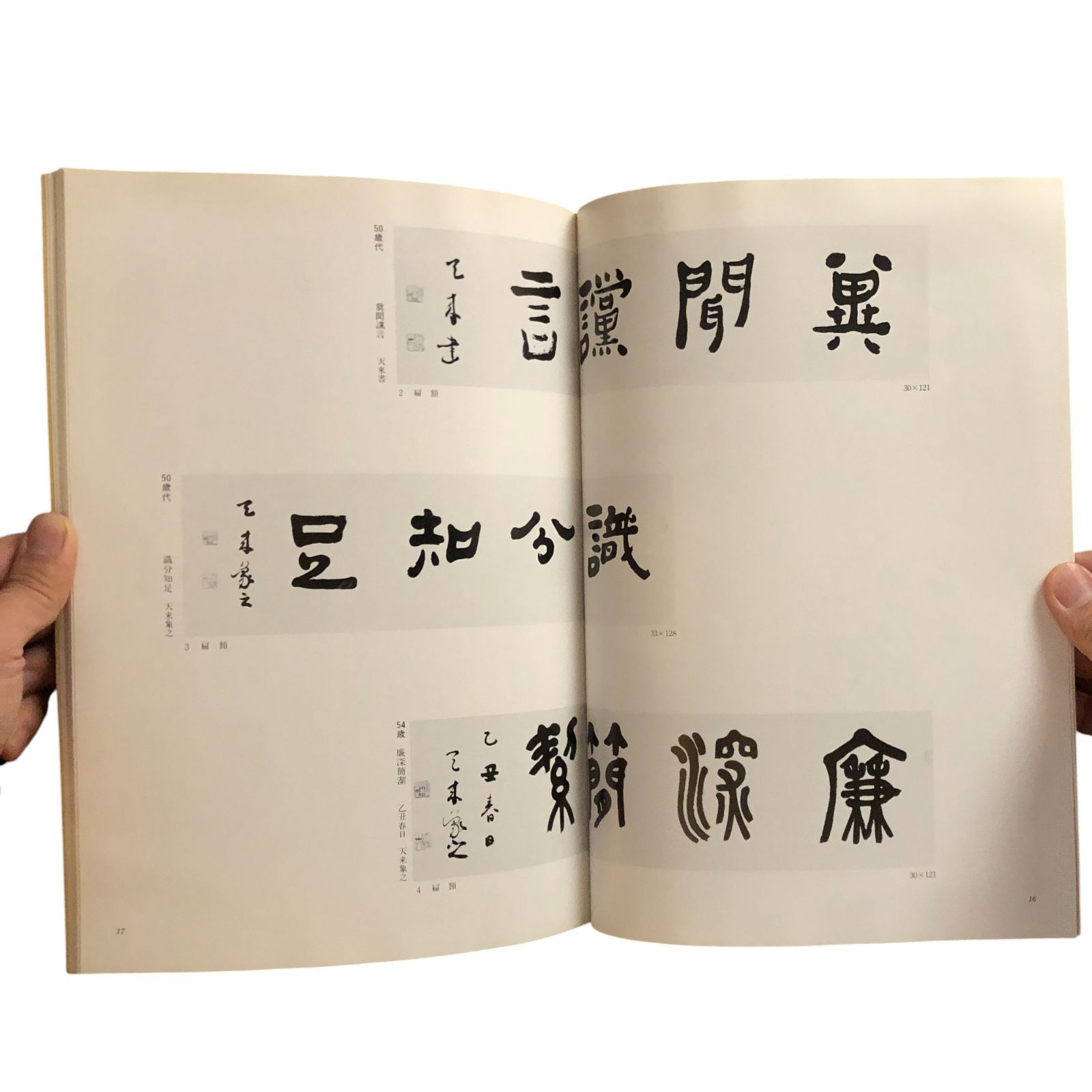 比田井天来・小琴 天来記念館収蔵品図録 天来記念館 平成三年