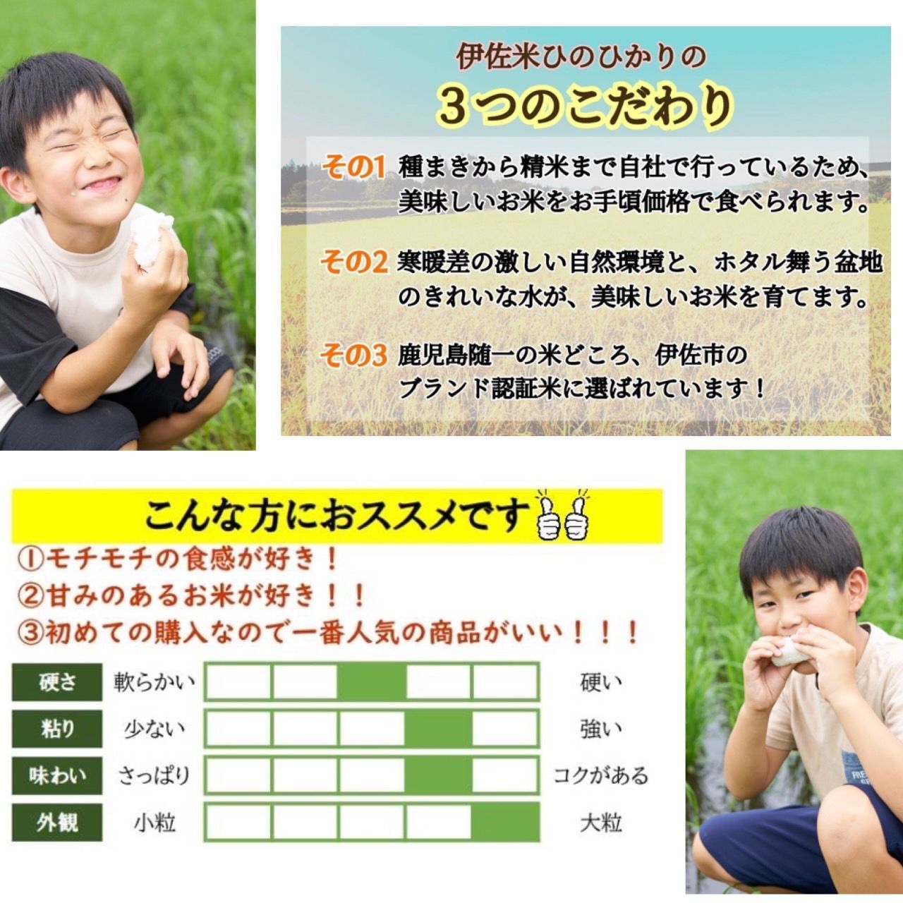 鹿児島県産 伊佐米 ヒノヒカリ 精米 5kg