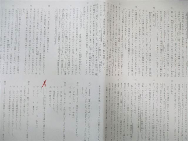 SAPIX サピックス 女子学院コース 【SS特訓全14回分フルセット】/正月特訓 計4回分 国語 通年セット 2021 040S2D SAPIX サピックス 女子学院コース 【SS特訓全14回分フルセット