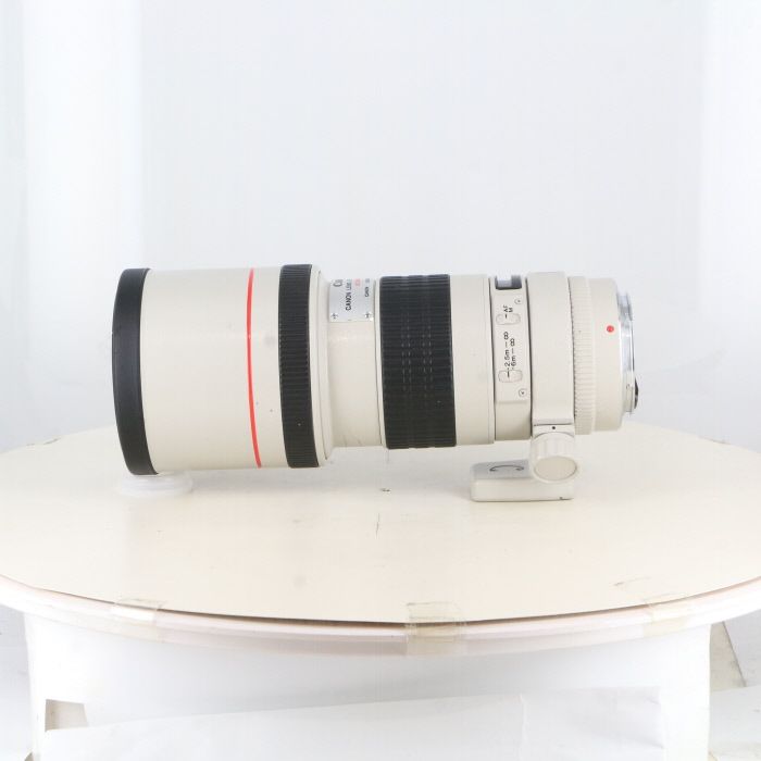  キヤノン Canon EF 300 4 L USM その他 カメラ