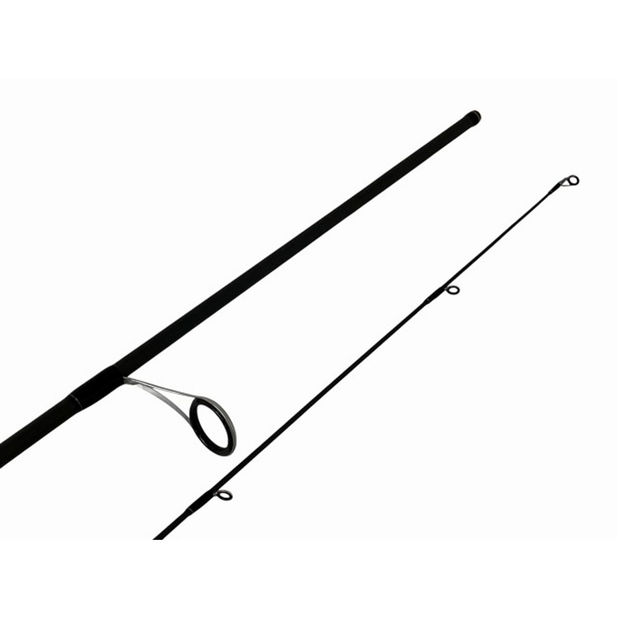 BASS