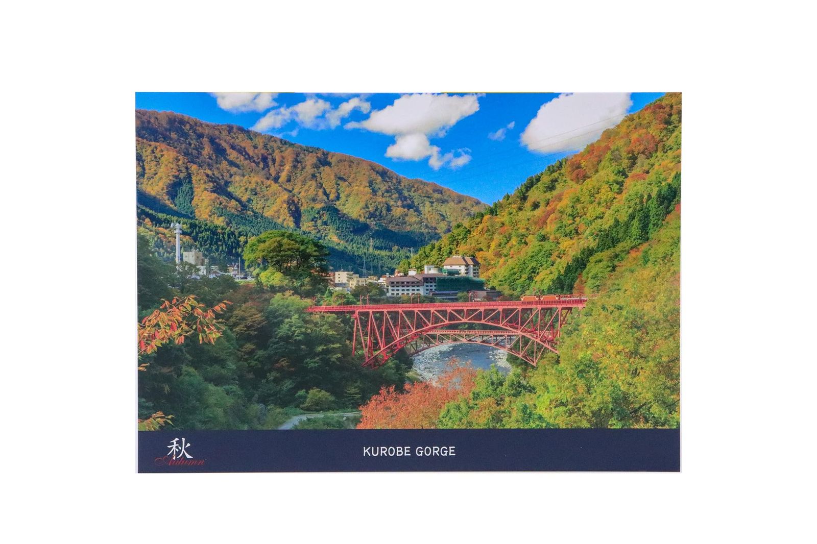  絵はがき ポストカード 日本の四季 入り 日本のおみやげ その他 手帳 日記 家計簿