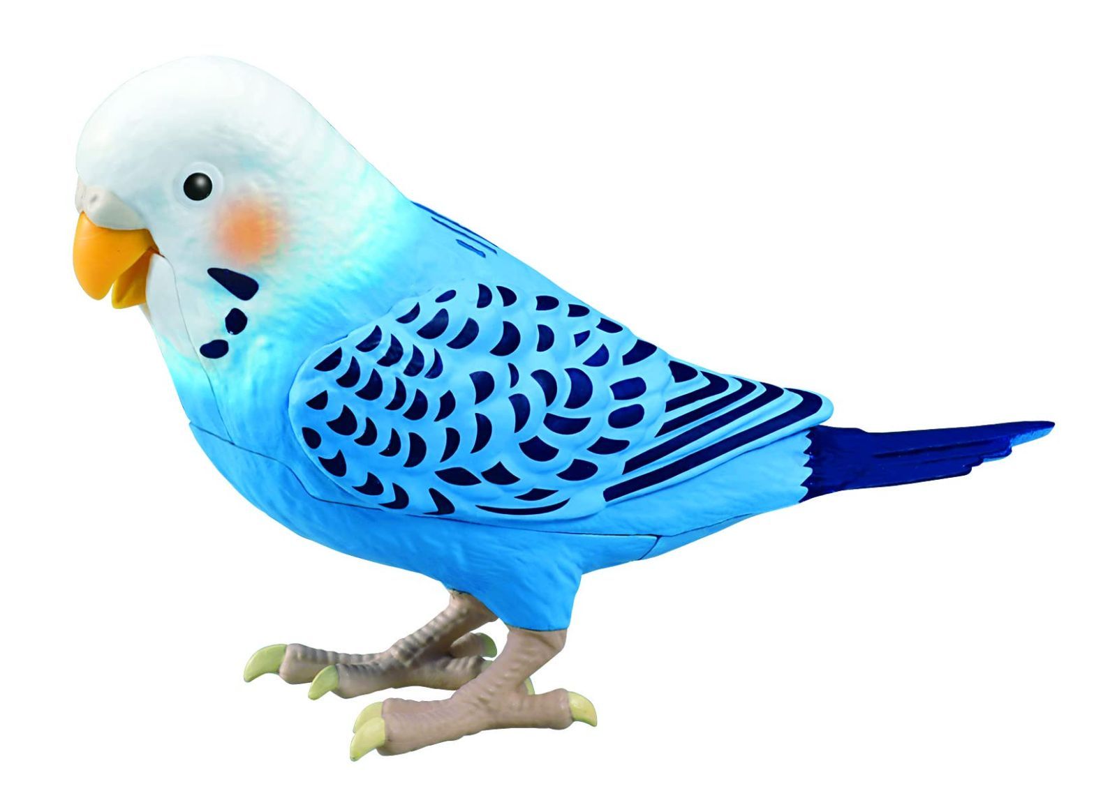 毎日おしゃべり 天才インコちゃん 青 ブルー 対象年齢 6歳 脳トレ ヒーリングパートナー おしゃべり1100通り以上 お歌10曲