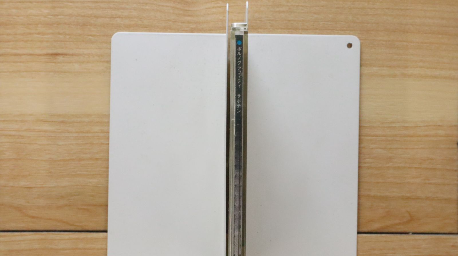 プロモーション用 ポルノグラフィティ カセットテープ サボテン ダイアリー プロモーション用 ポルノグラフィティ カセットテープ サボテン
