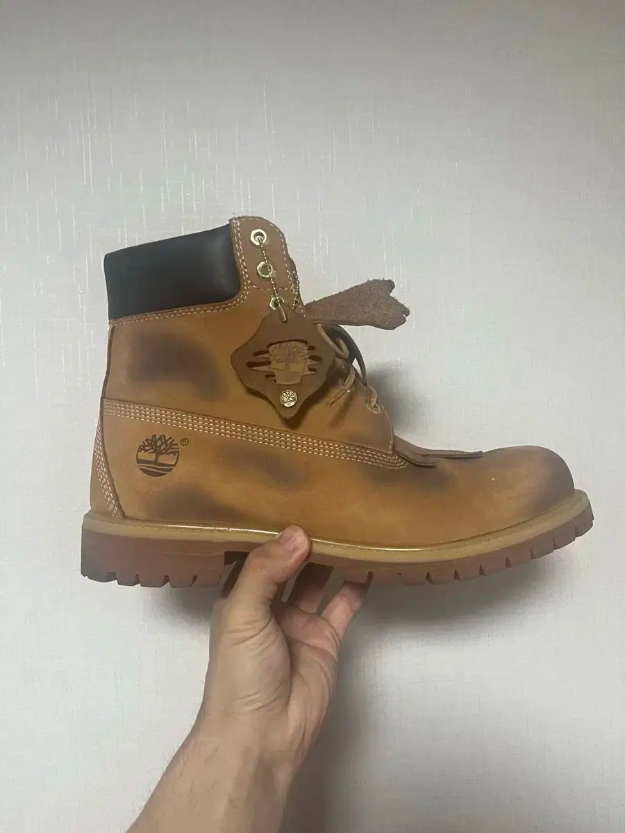 ティンバーランド 手術