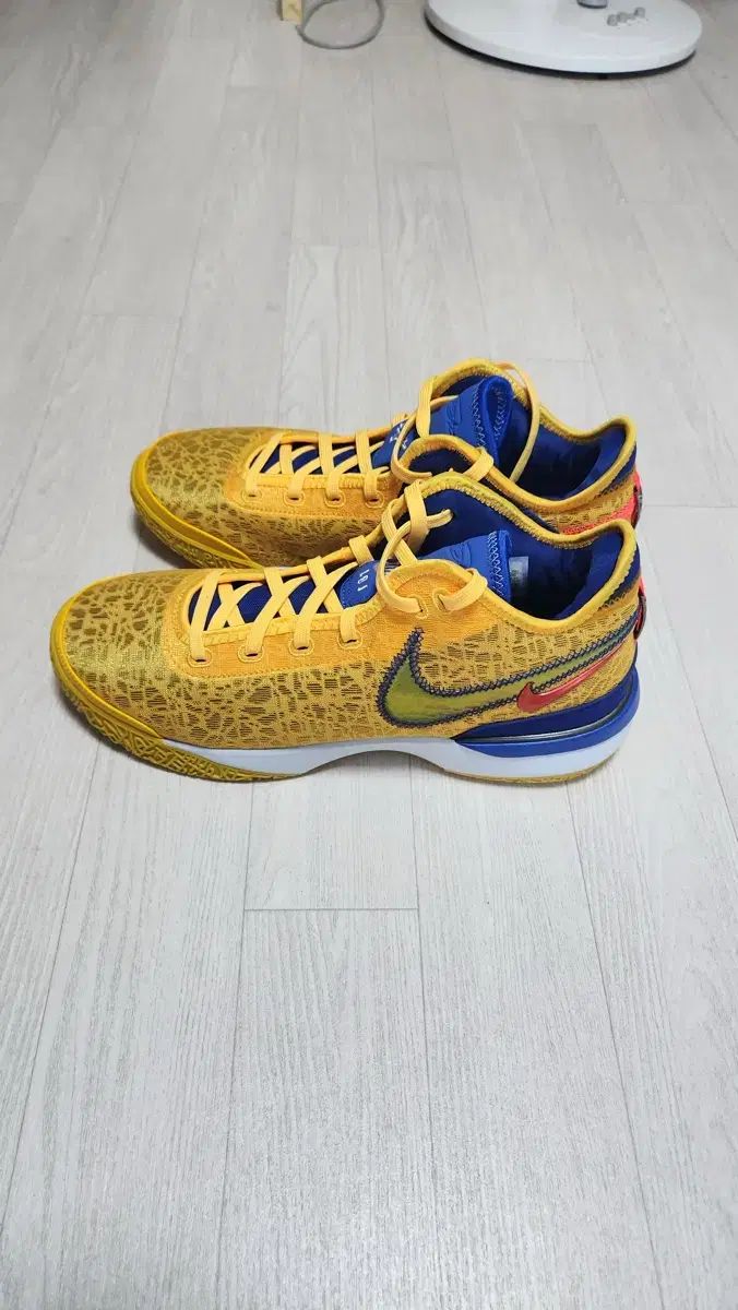 レブロン NEXTGEN