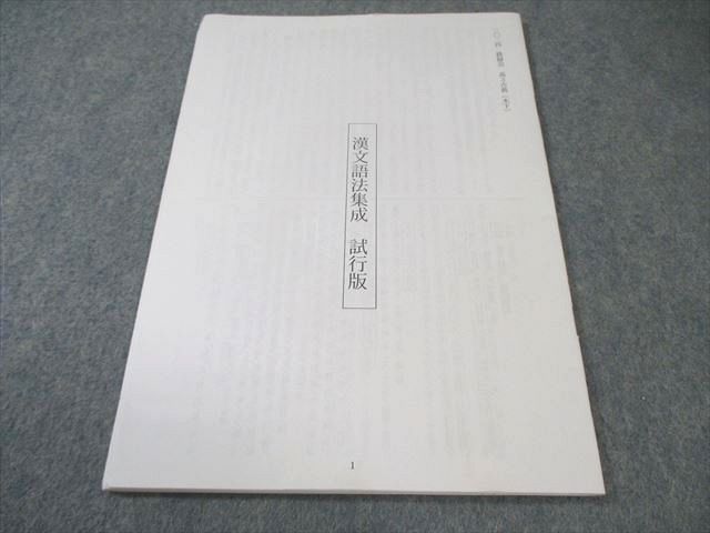 鉄緑会 漢文語法集成 試行版 状態良品 2024 木下 005s0D