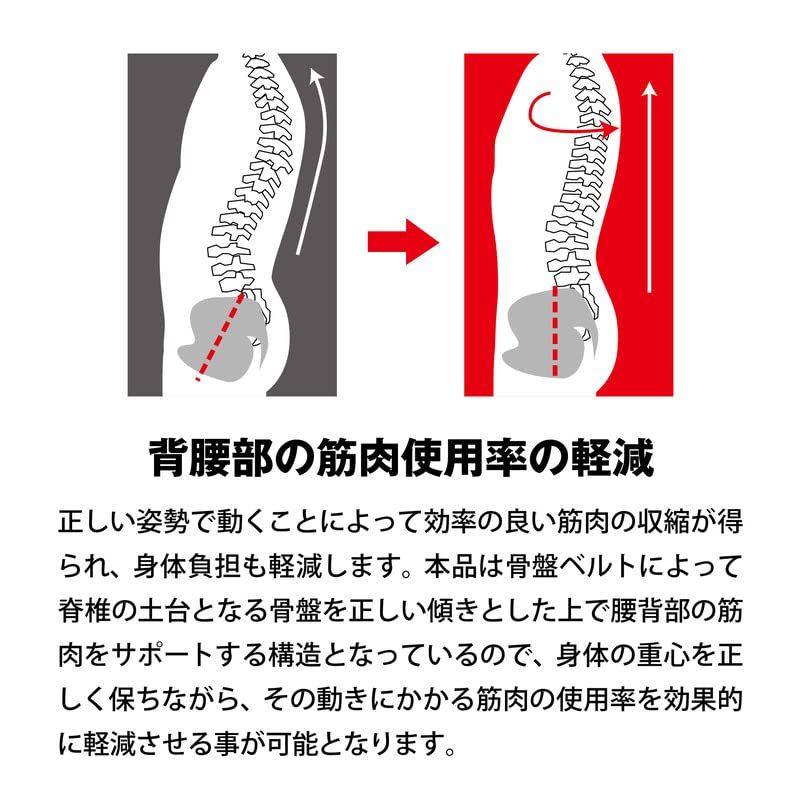 多機能サポートベルト