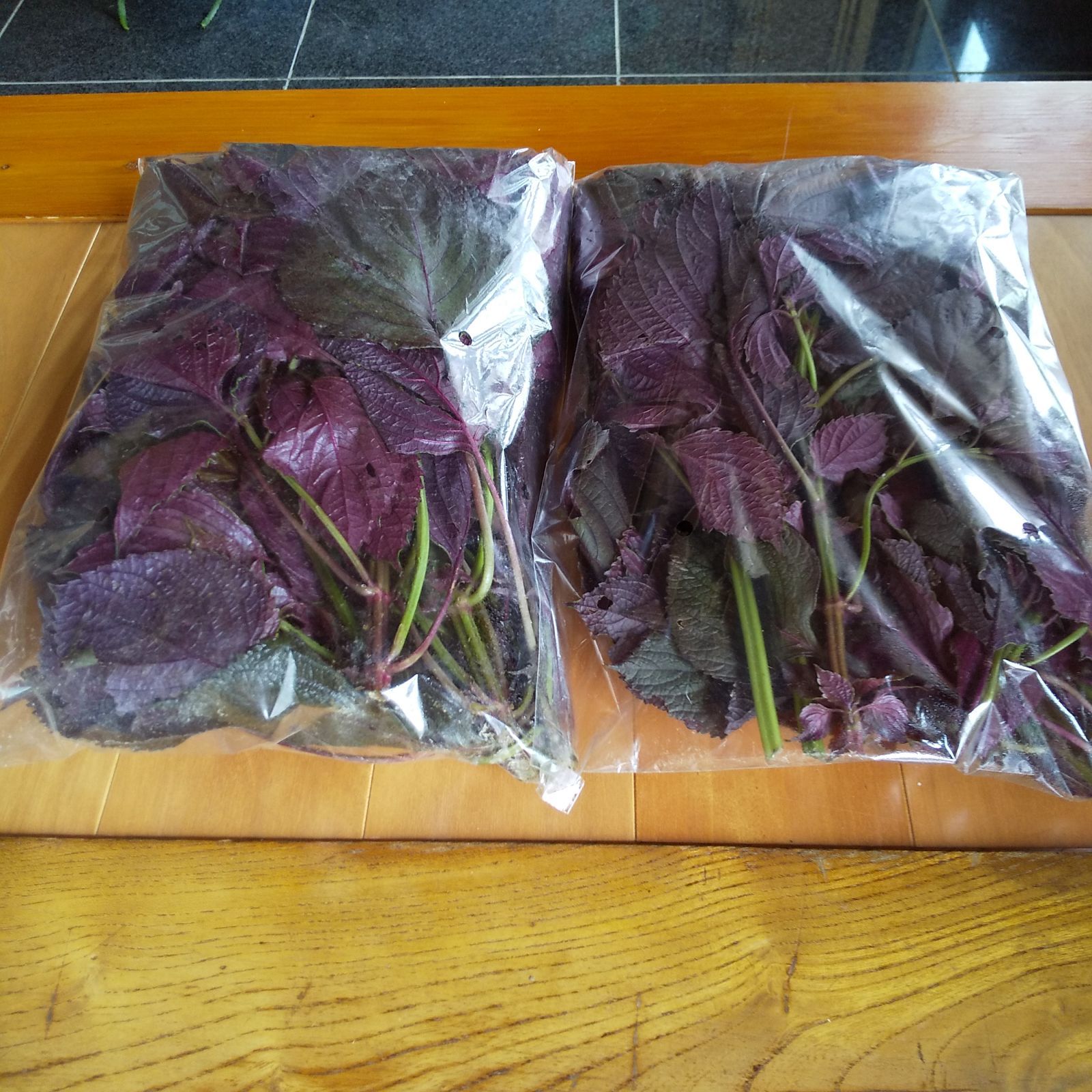 赤紫蘇 茎付き 約250g 目立った傷や汚れなし - メルカリ