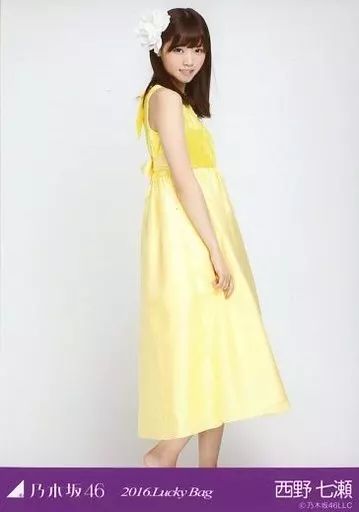 乃木坂46 生写真 2016福袋 乃木坂46 2016 福袋 生写真 乃木坂46