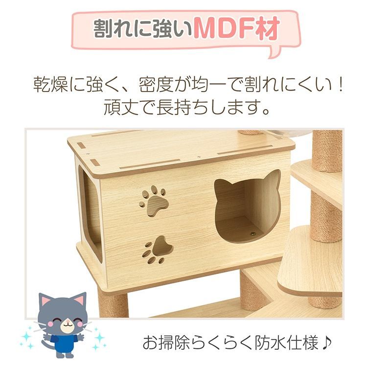 多頭飼い 爪とぎ