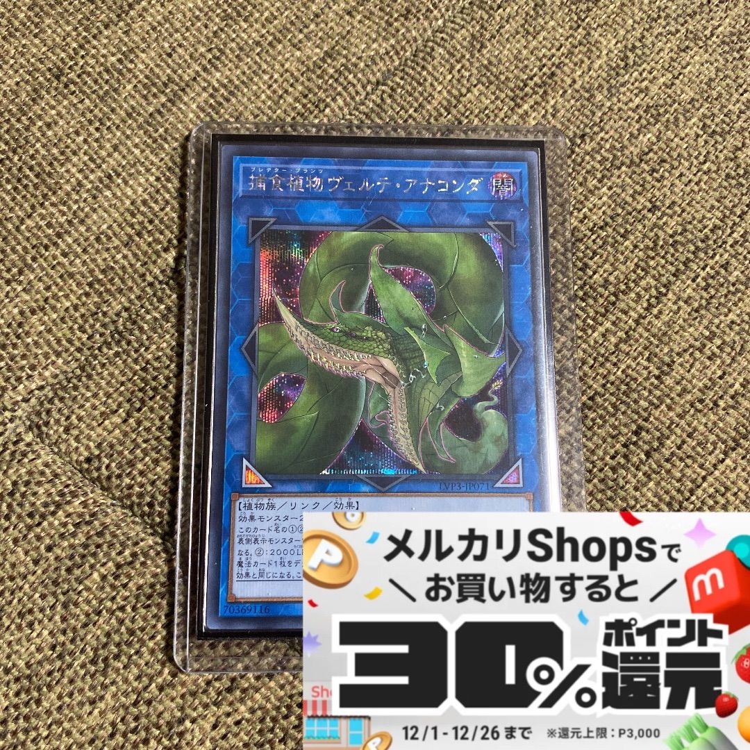 遊戯王　捕食植物ヴェルテ・アナコンダ　シークレット　PSA10 捕食植物ヴェルテ・アナコンダ【遊戯王トレカ高価買取価格査定