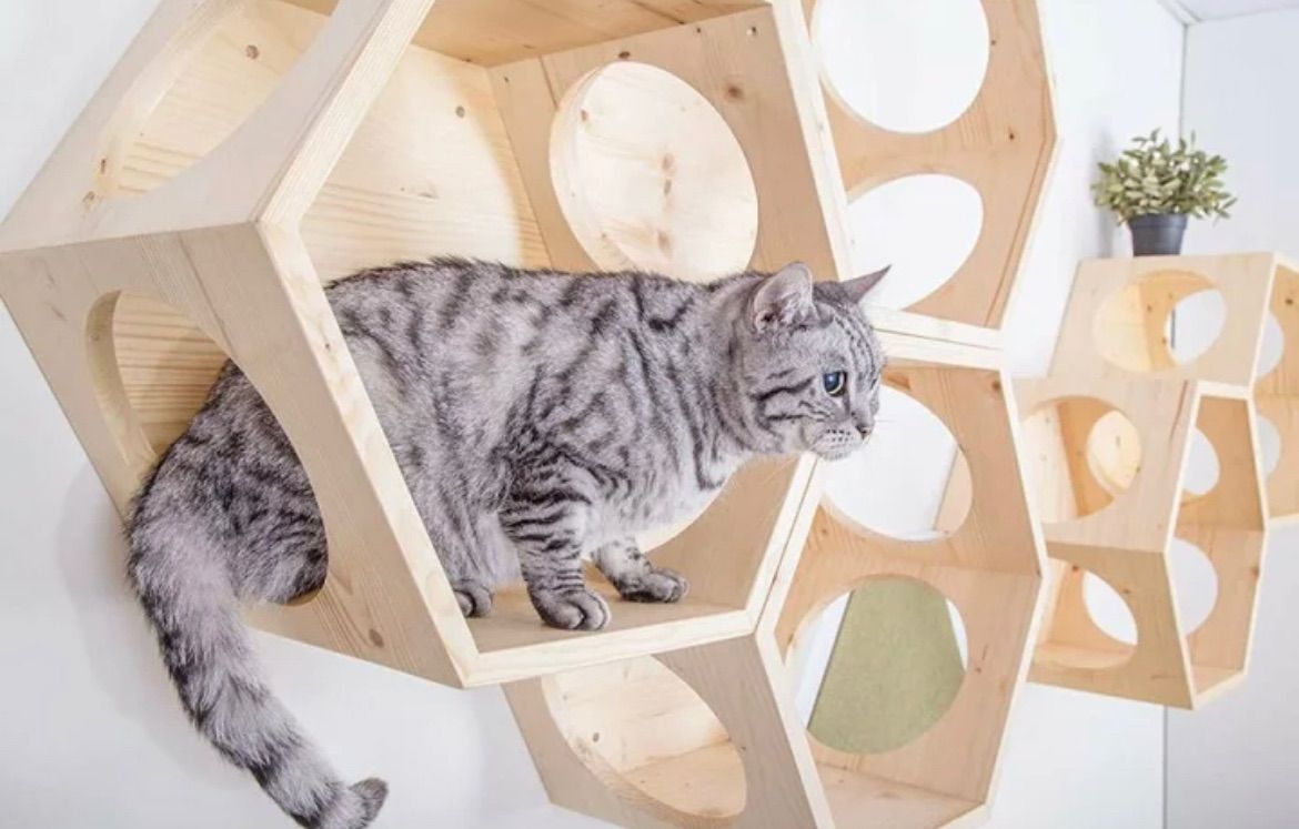 猫用品 ねこハウス