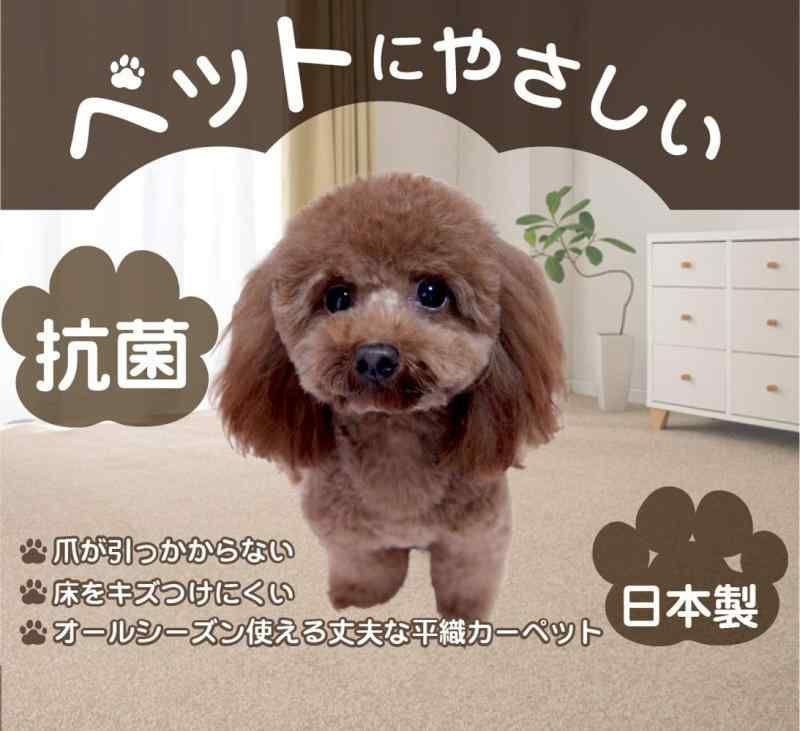 ペットにやさしい ソレイユ