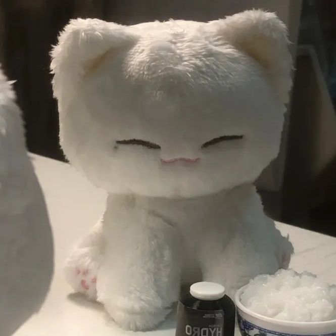 ウジ　ぬいぐるみ　10cm 新品　マスター　セブチ Amazon.co.jp: ウジ ぬいぐるみ 10cm マスター セブチ : おもちゃ