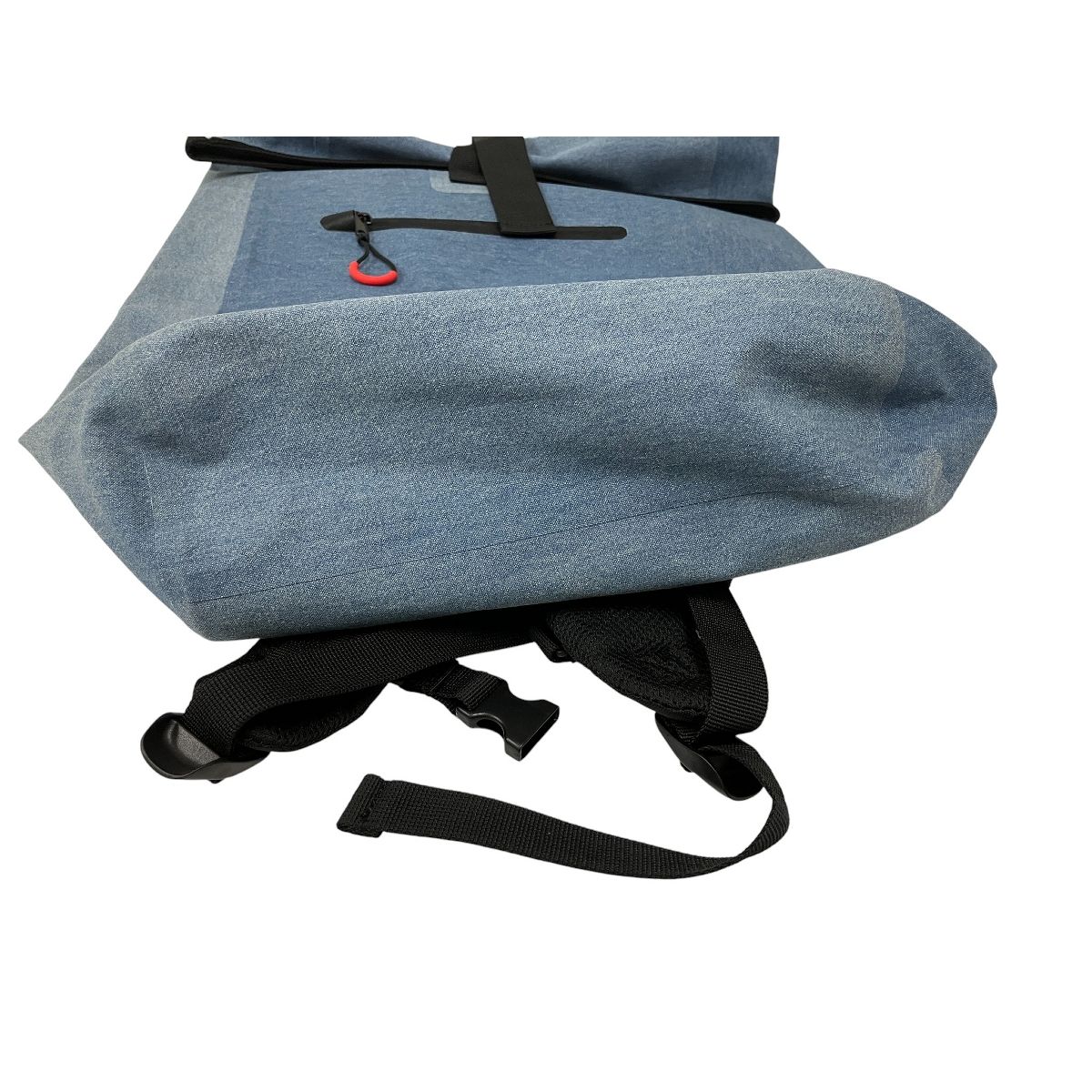 migration ダイビング