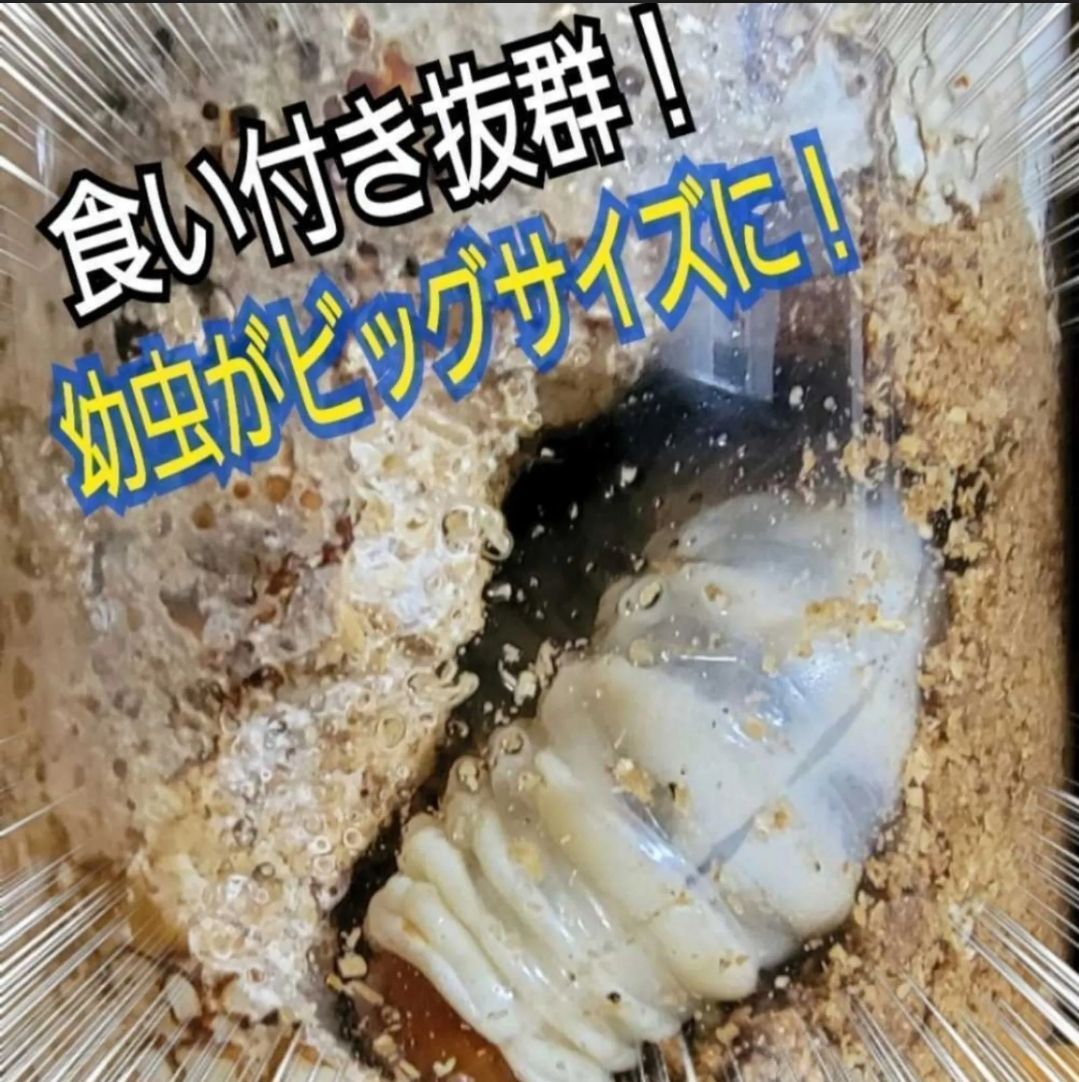 ローヤルゼリー