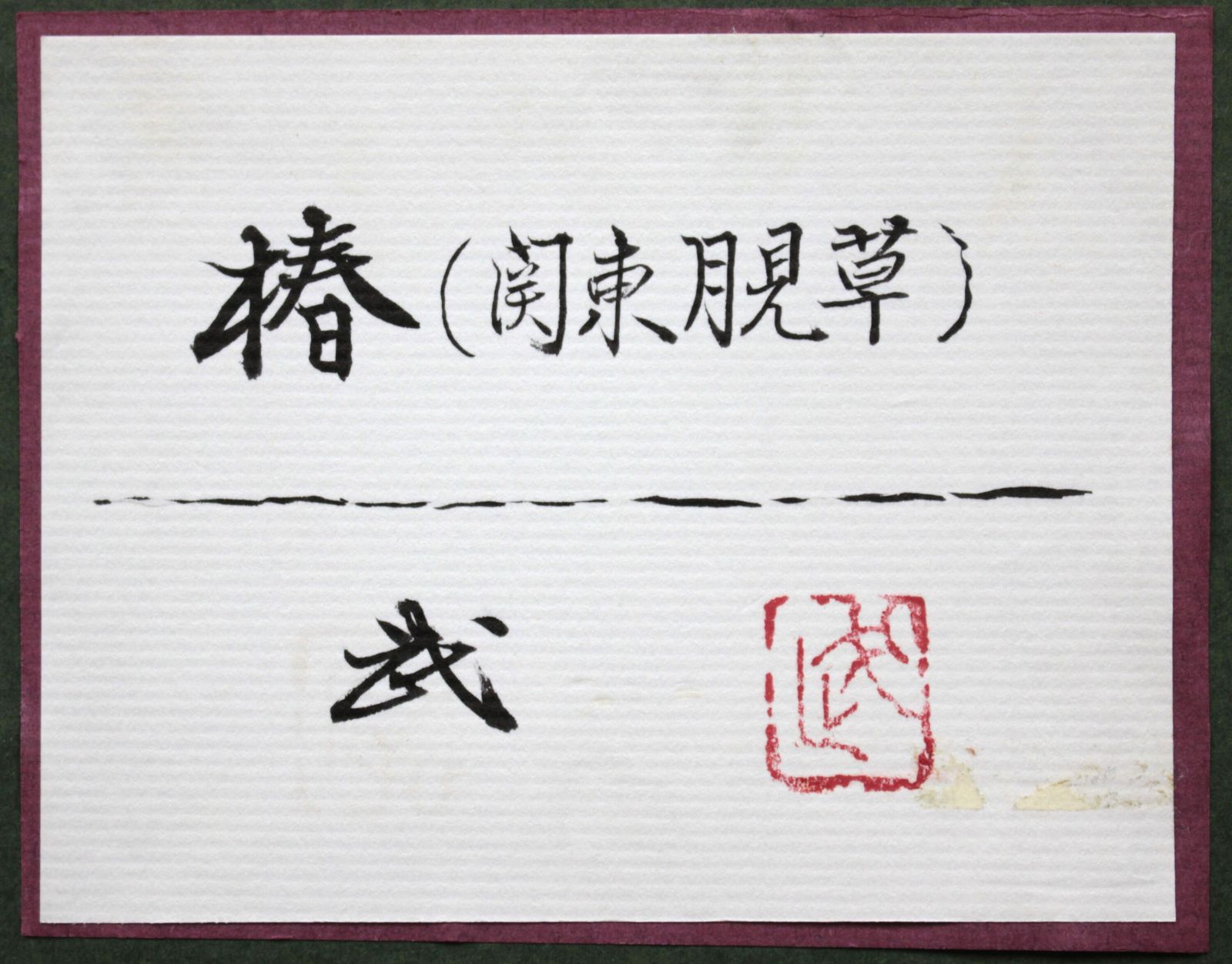 間瀬 武『椿（関東月見草）』日本画【真作保証】 絵画 - メルカリ