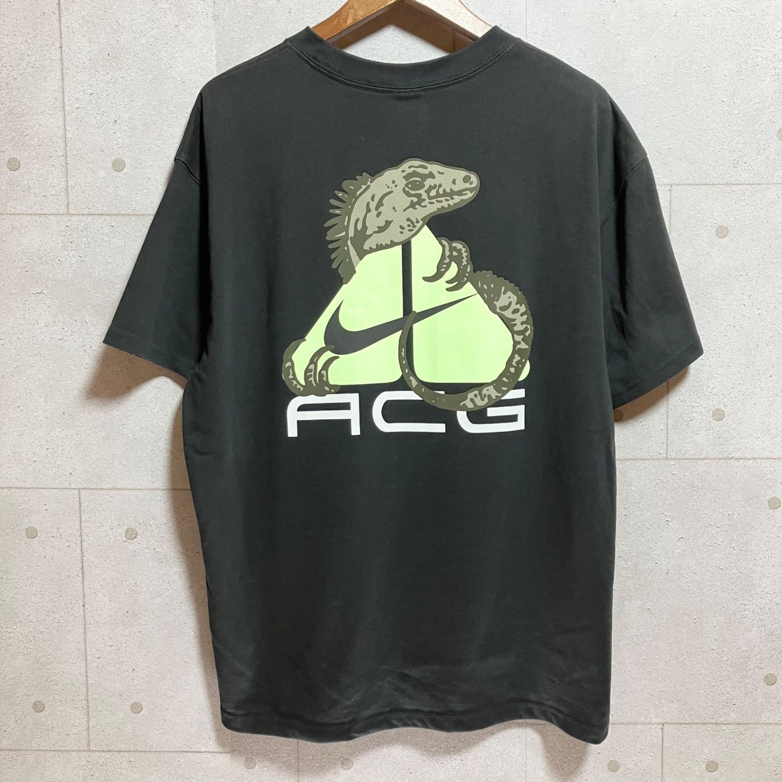 【NIKE acg】　ナイキ　イグアナ Dri-FIT Tシャツ　2XL NIKE acg】 ナイキ イグアナ Dri-FIT Tシャツ 2XL - メルカリ