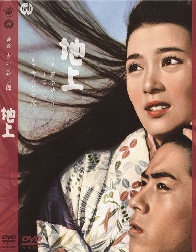 地上 DVD
