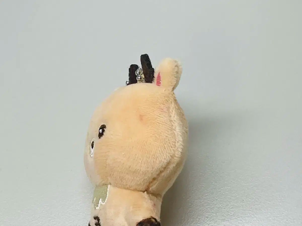 RIIZE(ライズ) ソンチャン(SUNGCHAN) ウラックバム 夏 SUMMER