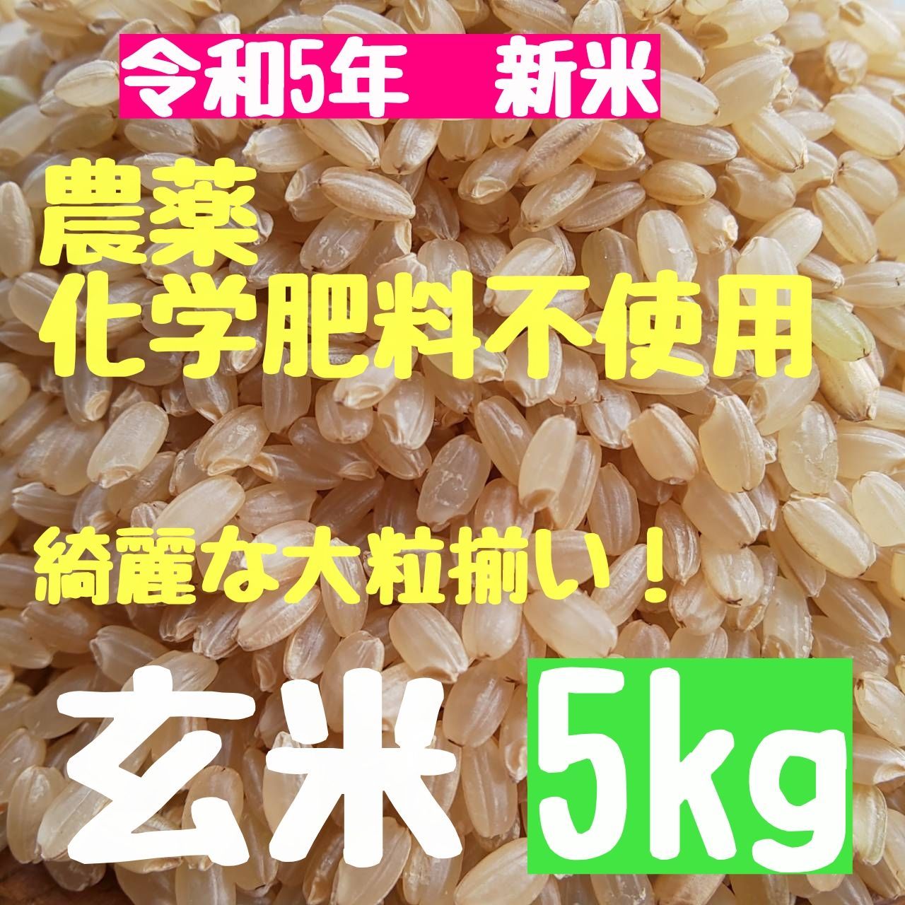 令和5年新米 京都玄米 ヒノヒカリ 農薬不使用 有機肥料 5キロ - 米