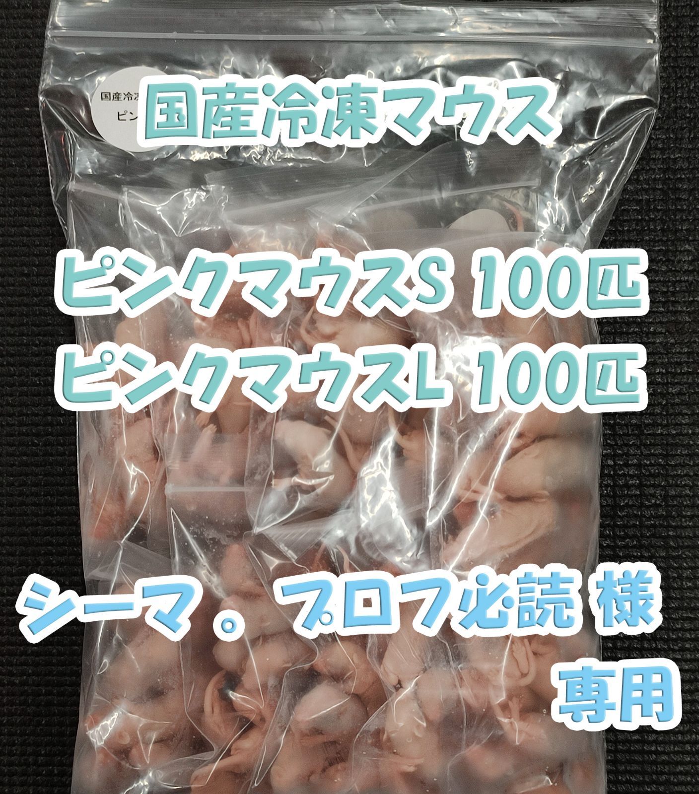 shiro様専用 専用ページ | 公式通販 しろ様専用ページ しろ様専用 様