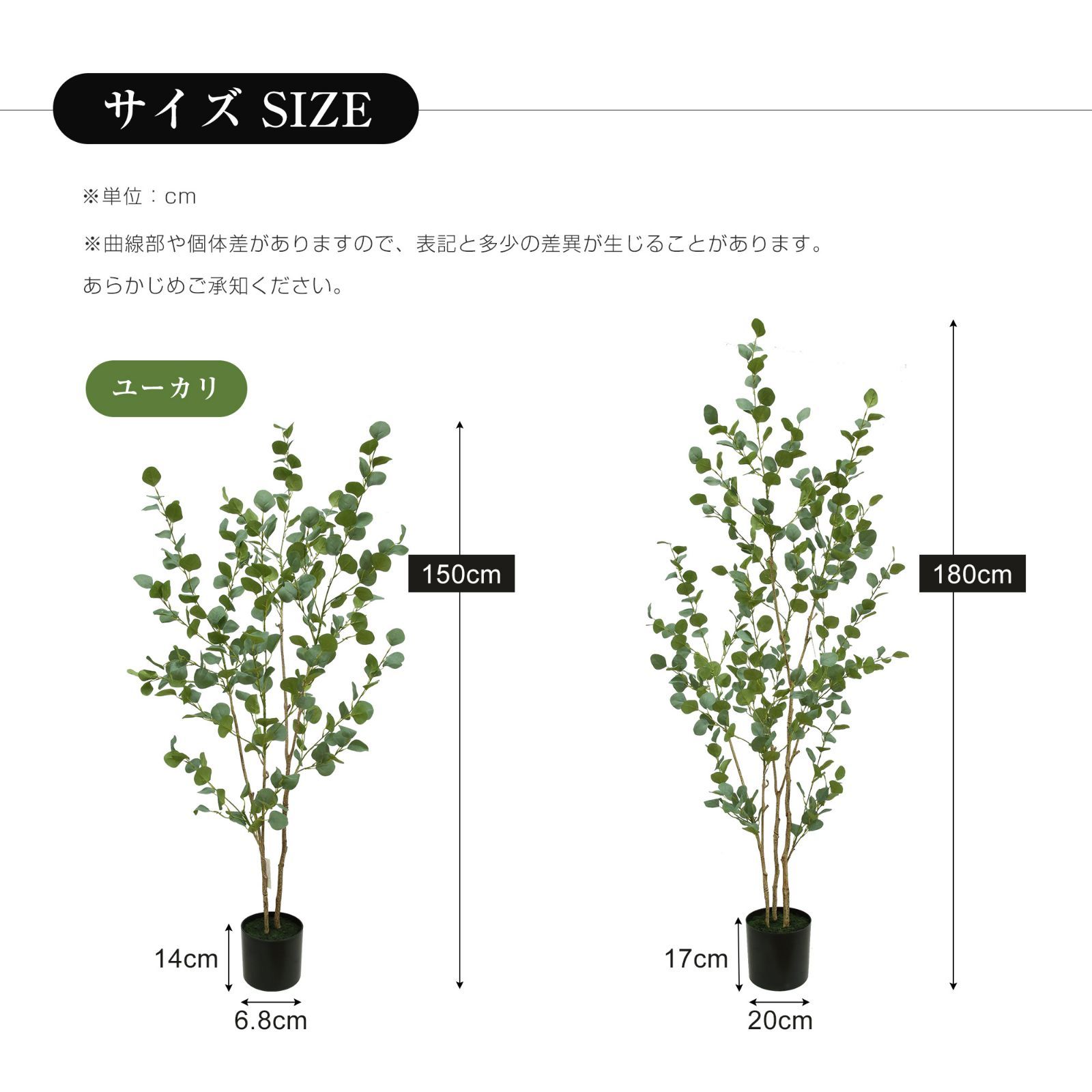 光触媒 観葉樹
