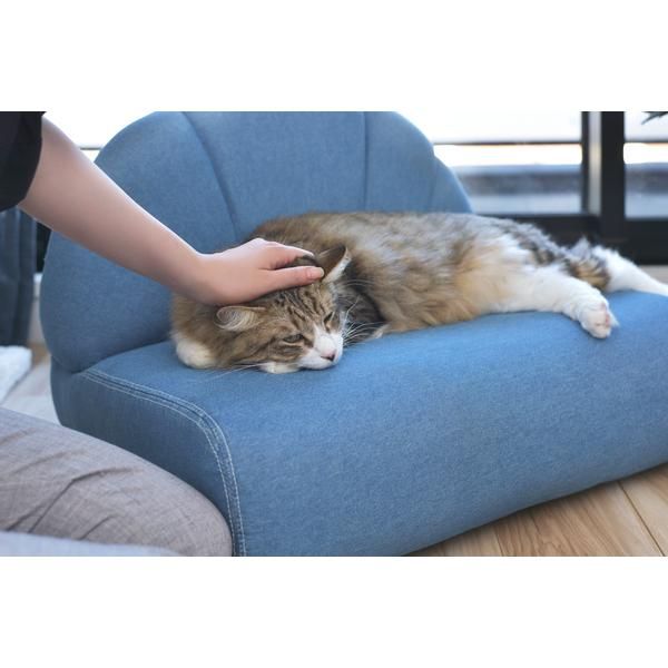 ペット用ソファ 猫 ネコ ねこ 小型犬 イヌ いぬ ミニサイズ ソファー シェル型 貝 モチーフ デニム風生地 おしゃれ インテリア カジュアル かわいい リビング azm-pet-65 STEELWINDOWSANDDOORS_COM
