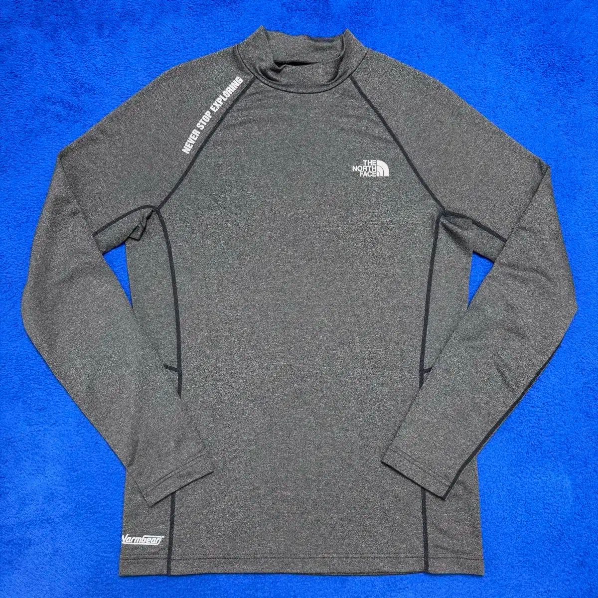 THE NORTH FACE ザノースフェイス ハイネック 長袖Tシャツ M (95)