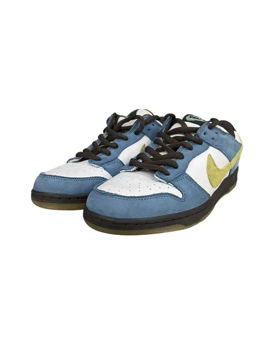 【雷市場（ポンジャン）商品韓国直送】 NIKE(ナイキ) sb ダンクロー ホーマー 285mm