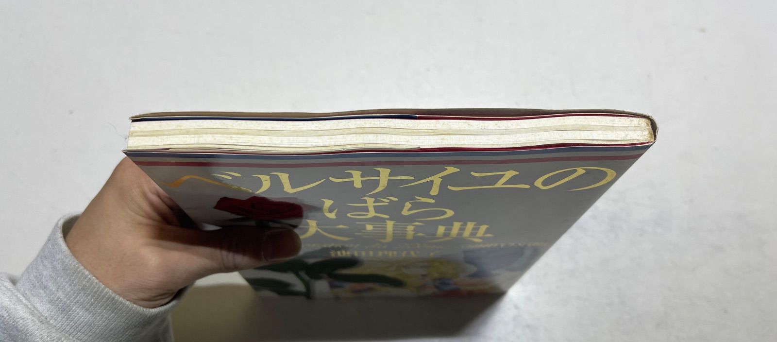 初版 ベルサイユのばら大事典 - メルカリ