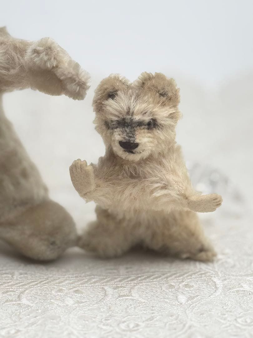 シュタイフ☆Raccy Racoon 17cm&10cm☆アライグマ 2体セット