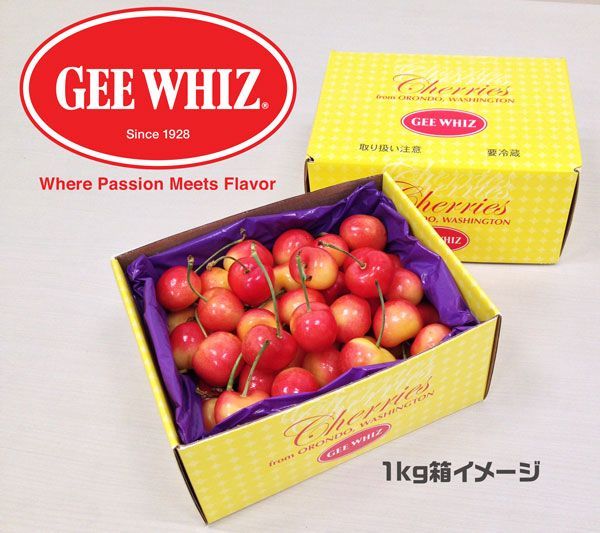 レーニアチェリー2kg 巨大レーニアチェリー 2kg クール便【公式