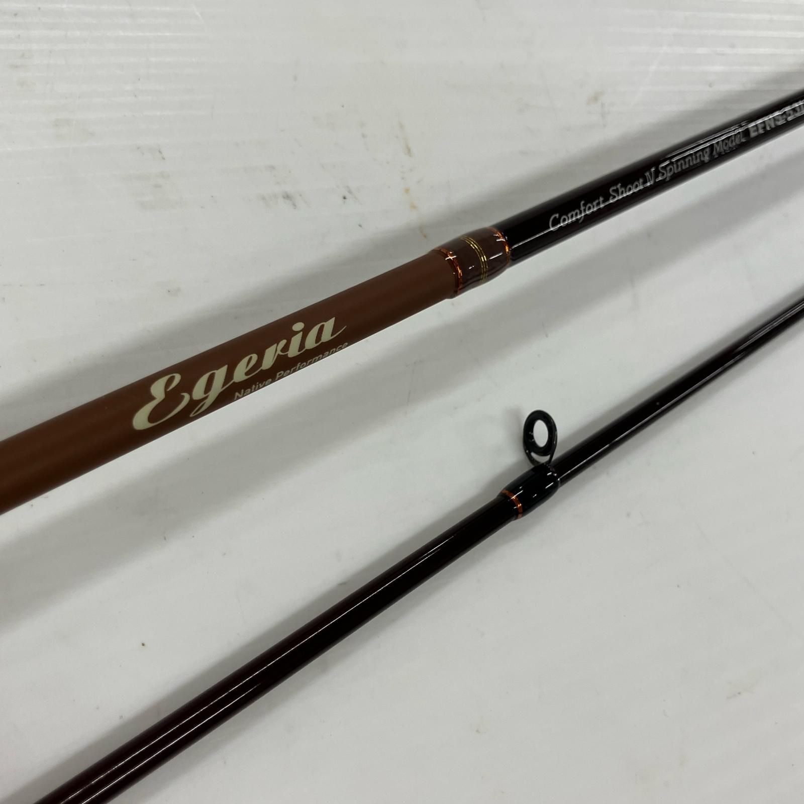 PALMS エゲリア　EFNS-53L PALMS パームス エゲリア ネイティブ EFNS-53L 2ピース スピニング