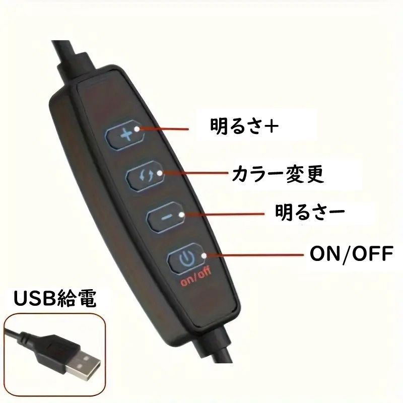 お洒落 人気