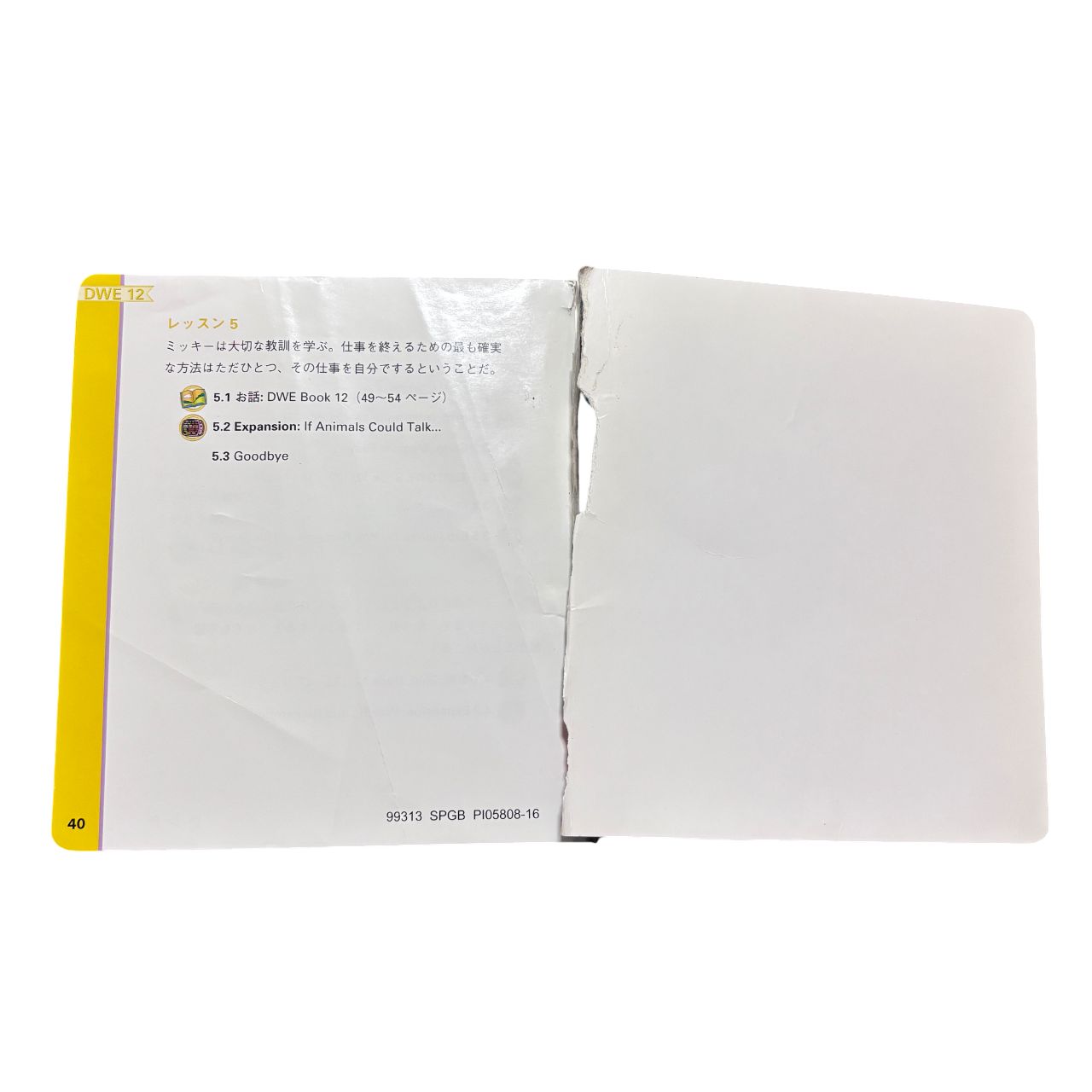 Straight-Play DVD12枚