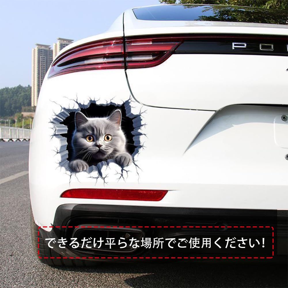 本日限定価格☆エッセンシャルグリーン 2箱 シナジーワールド