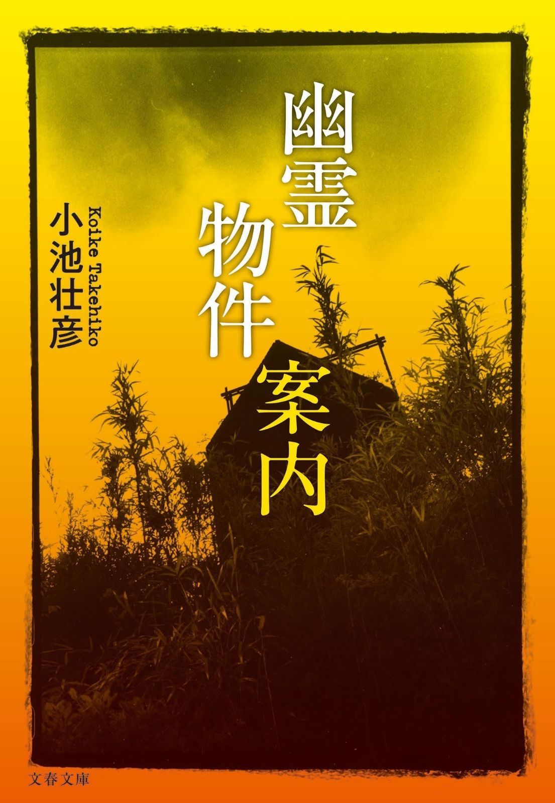 幽霊物件案内 (文春文庫 こ 52-1) | 幽霊物件案内 壮彦 幽霊屋敷レイナムホール 株式会社岩崎書店 この1