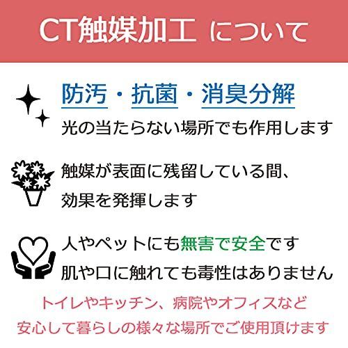 約43cm CT触媒