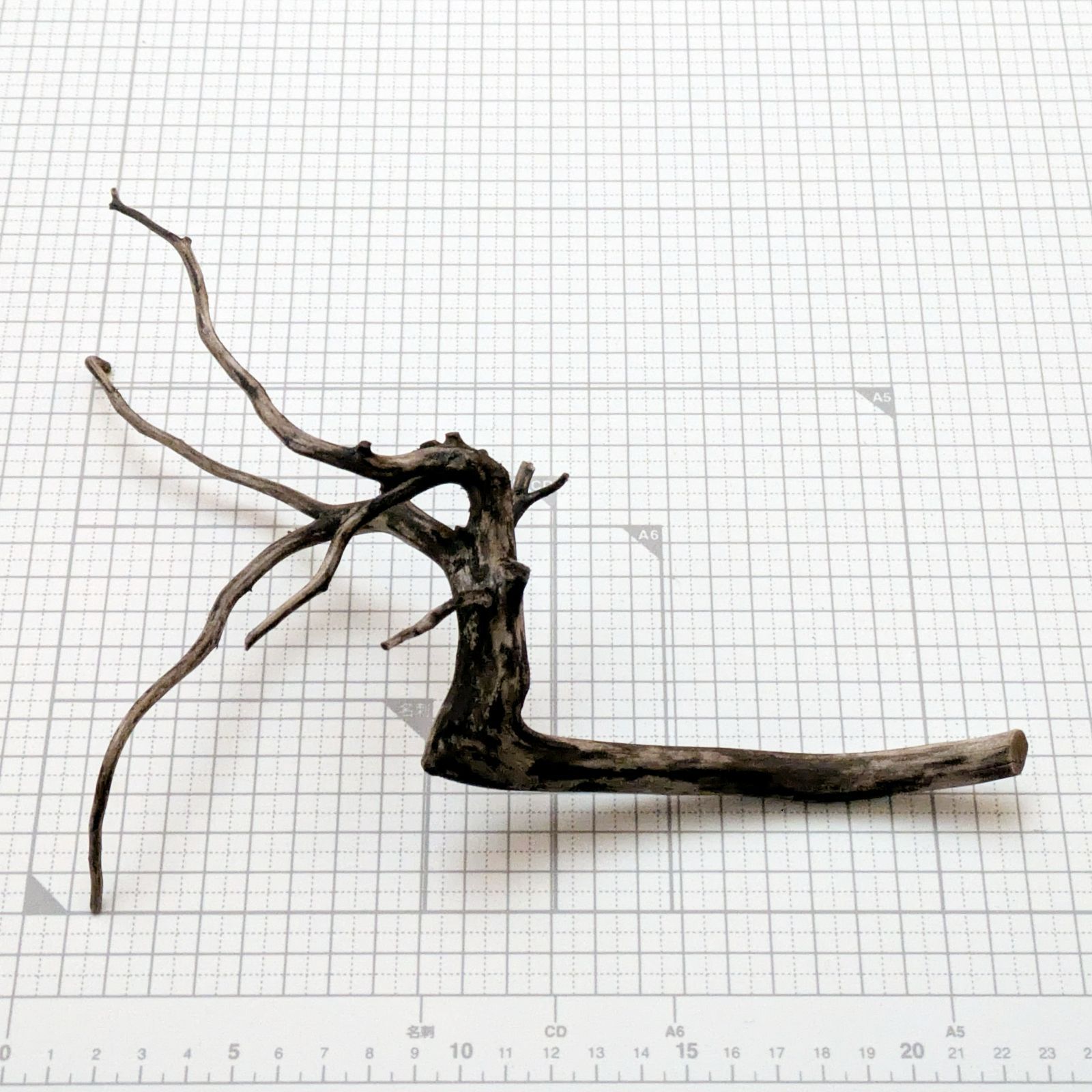約23x16x8cm ブラックブランチウッドS 複数同時購入で2品目以降50