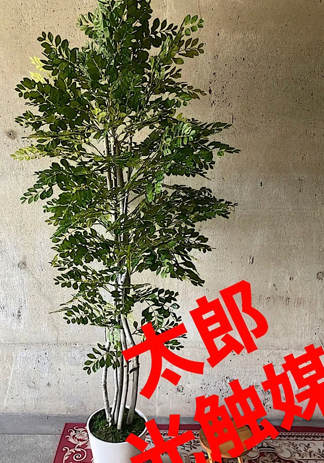 光触媒 人工観葉植物 ウォールグリーン フェイク フラワー トネリコ